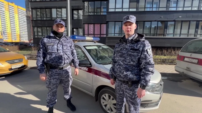 В Мурино пьяная женщина выбрасывала из окна мебель, технику и повредила припаркованные автомобили 