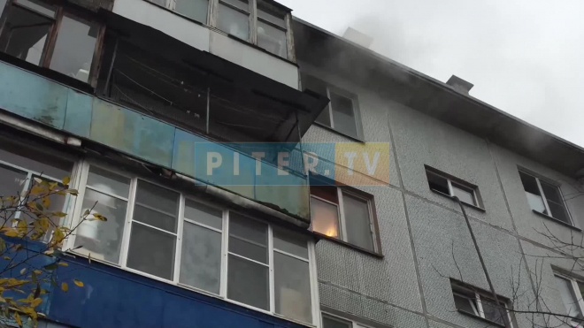 Видео: В Ленобласти загорелась квартира 