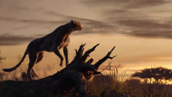 Disney показали новый трейлер фильма "Король Лев"