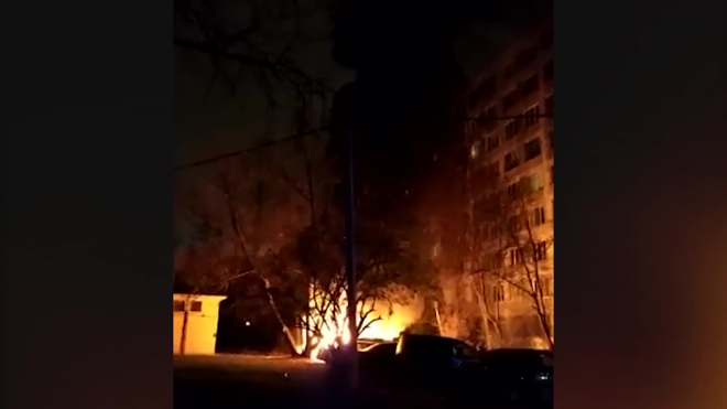 Что произошло в Петербурге 8 ноября: фото и видео