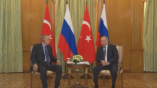 Путин поблагодарил Эрдогана за помощь в решении вопроса украинского зерна