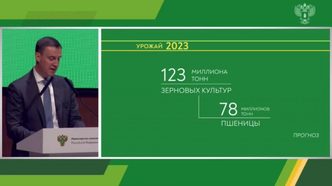 Минсельхоз ожидает снижение урожая масличных до 26 млн т