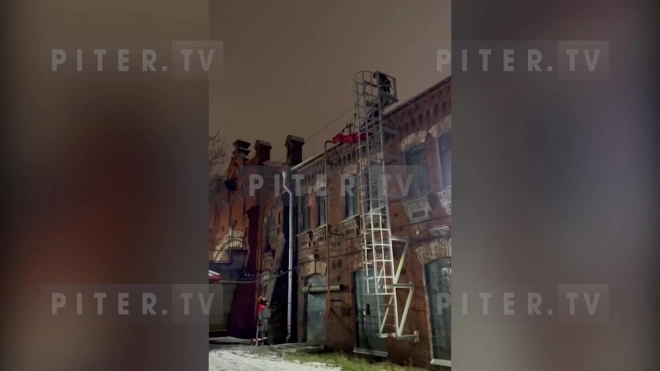 В Петербурге пропавшую девушку нашли мёртвой на крыше завода в Обухово