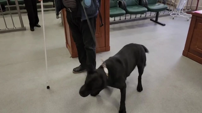 Незрячий петербуржец судится с метрополитеном из-за необходимости надевать намордник на собаку-поводыря
