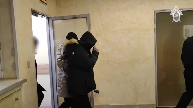 В Петербурге задержан несовершеннолетний фигурант дела об избиении прохожих