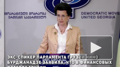 Нино Бурджанадзе: "Саакашвили действует в интересах американских спецслужб"