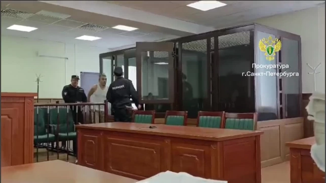 Петербуржца приговорили к 9 годам колонии за убийство в Новый год