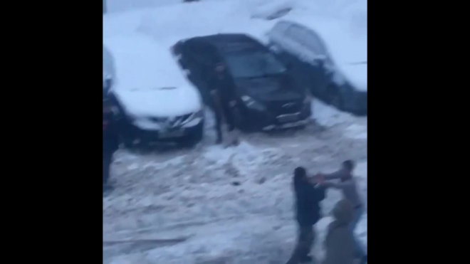 Появилось видео драки дворников, которые не поделили лопату 