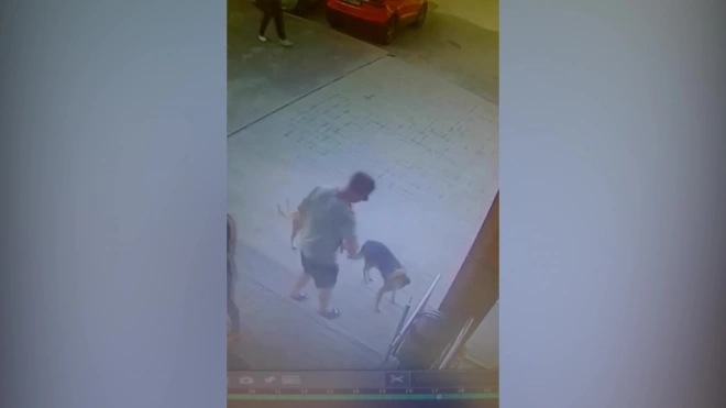 Полиция заинтересовалась видео с мужчиной, стрелявшим в собаку в Волгограде