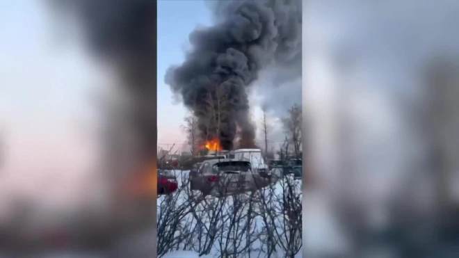 Мощный пожар на автосервисе в Пушкине локализовали