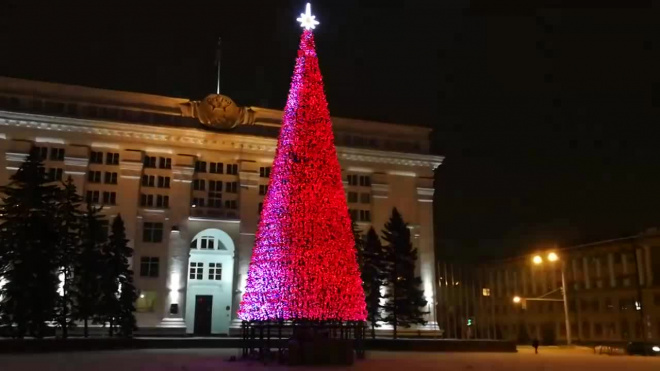 Кемеровская новогодняя ель за 18 миллионов вызвала общественный резонанс