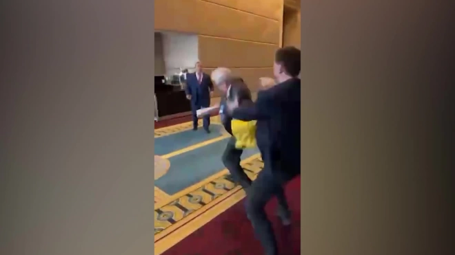 В Анкаре украинский депутат напал на секретаря делегации России на ПАЧЭС