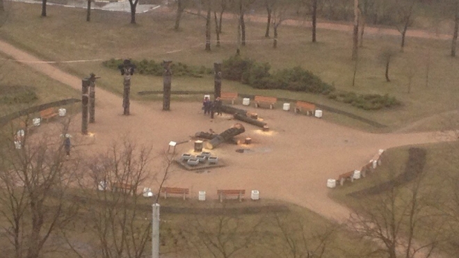 В парке Сосновка вандалы спилили корейских идолов Чансын