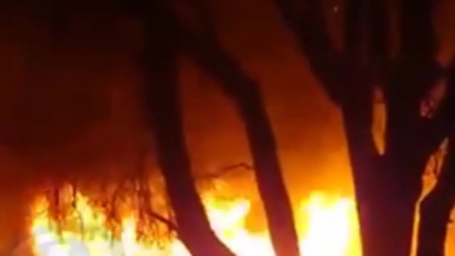 Жуткое видео из Ростова: двое мужчин бросили погибать женщин в пожаре