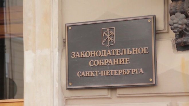 Петербуржцы требуют распустить парламент из-за решений по парку Малиновка и Исаакию