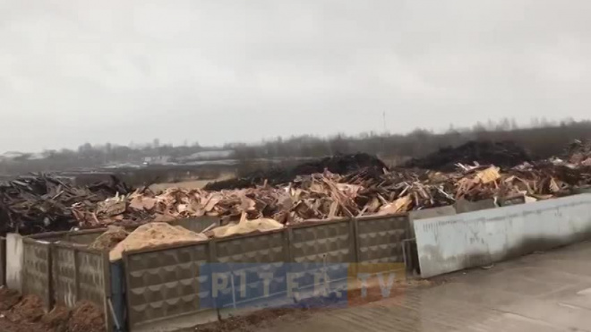 В Колтушах ввели режим ЧС из-за несанкционированной свалки