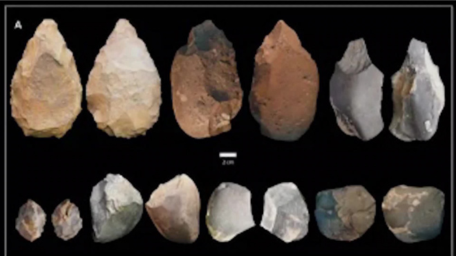 Homo erectus в Эфиопии изготавливали орудия разных эпох