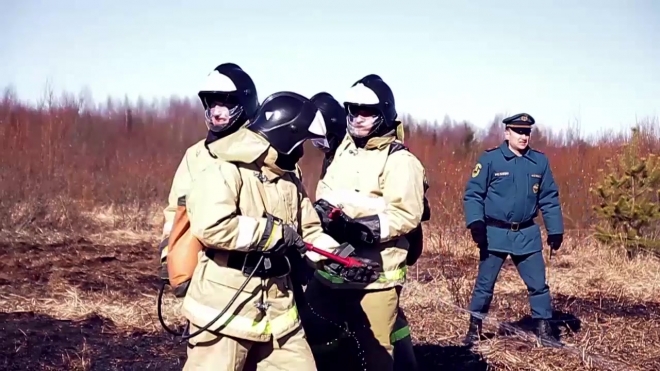 Дальний восток вновь охвачен лесными пожарами