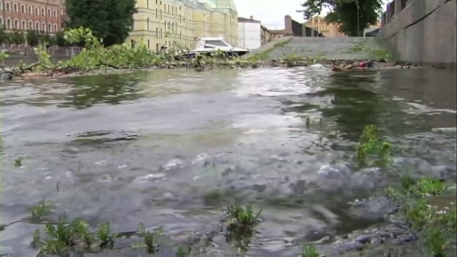 «Катя» еще в Петербурге. Порывы ураганного ветра достигнут 20 метров в секунду