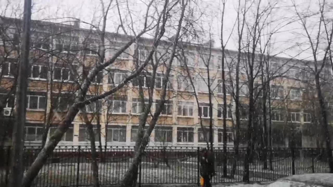 Циклонический вихрь принес снегопад в Петербург 