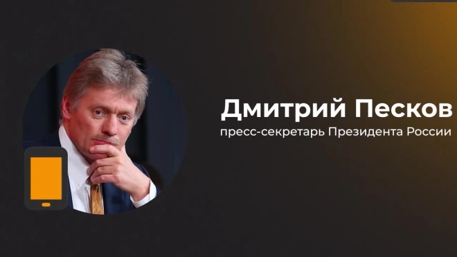 Песков прокомментировал возможную приостановку участия Армении в ЕАЭС