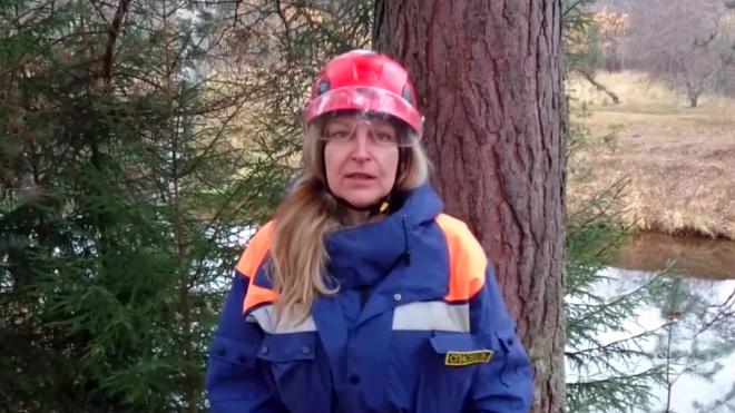 Команда "Кошписпас" разъяснила Артемию Лебедеву важность спасения котов с деревьев