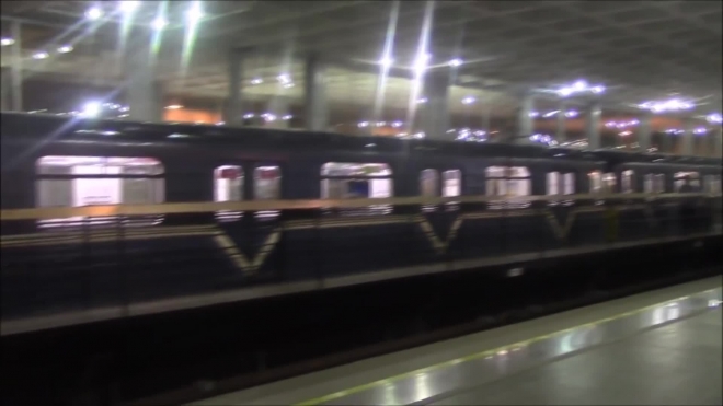 Станцию метро "Девяткино" не будут закрывать на время ремонта