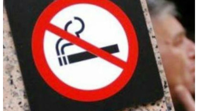 Борьба за сигареты: россиянам могут опять разрешить курение на верандах