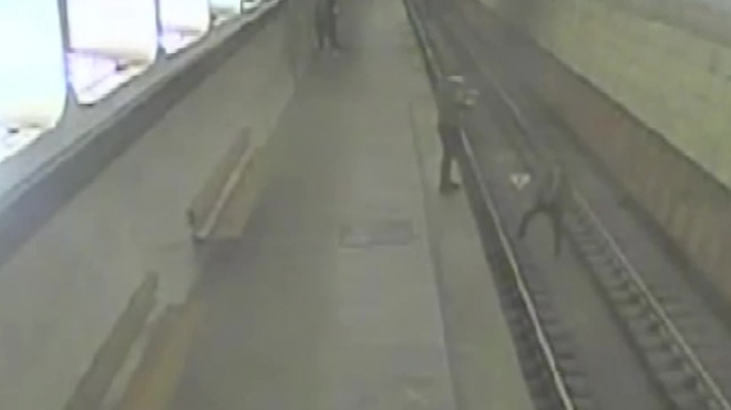 Видео: В Московском метро пьяный парень спрыгнул на рельсы перед поездом для фото