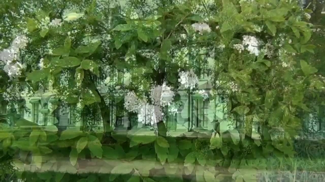 Siberia. Omsk in bloom in May 2014 g.film Mikhail Kiselyov