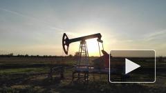 Цена нефти Brent поднялась выше $50 за баррель