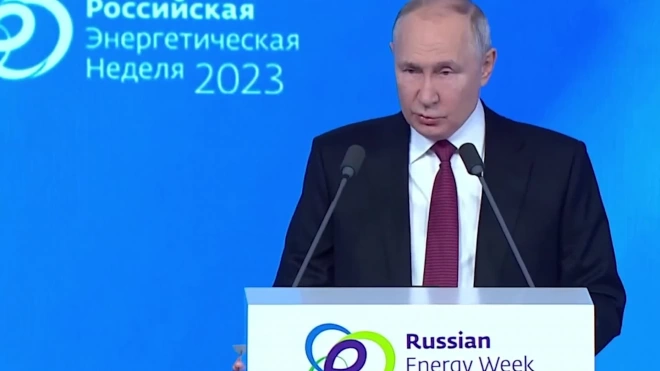 Путин: российские энергоносители много лет обеспечивали благополучие Европы