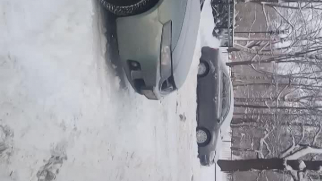 Снежные войны в Петербурге