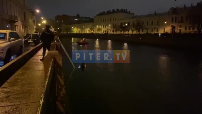 Видео: Со дна Мойки водолазы поднимают останки жертвы преподавателя СПбГУ Соколова