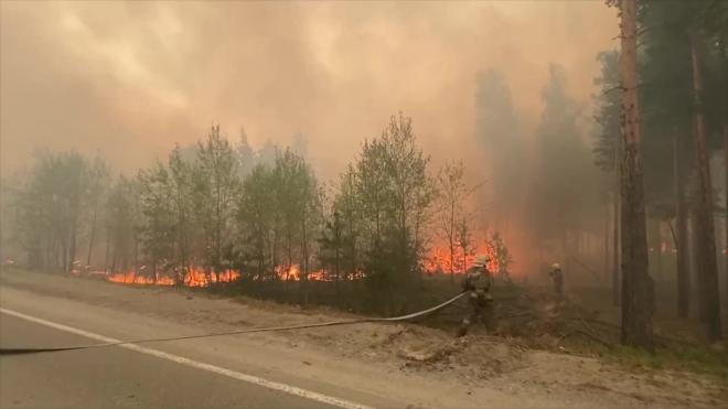 В Тюменской области из-за угрозы лесного пожара эвакуировали санатории