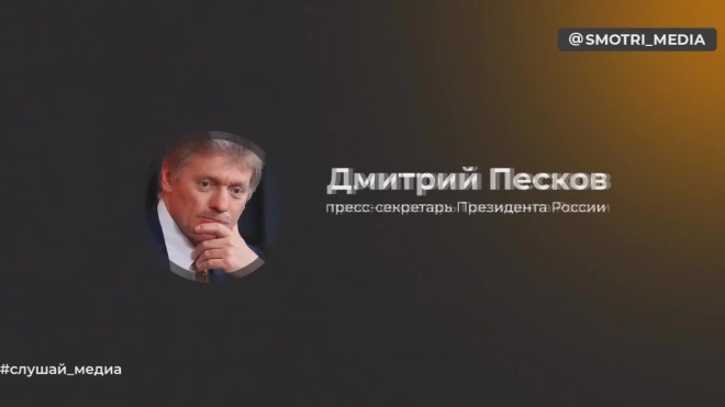 Песков: чиновники будут только приветствовать в своих рядах "мужиков"-ветеранов СВО