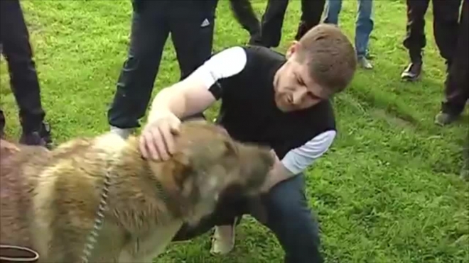 Нашли собаку Рамзана Кадырова, интернет ликует