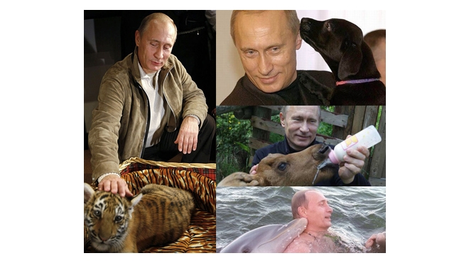 Путин и журавли: к любви электората – через любовь к братьям меньшим