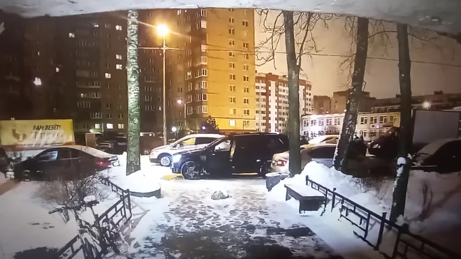В Петербурге задержан подозреваемый в поножовщине из-за парковки на Художников
