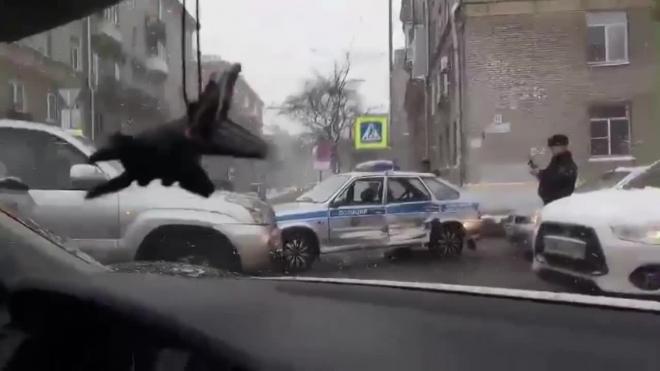 На набережной Черной речки легковушка протаранила машину полиции