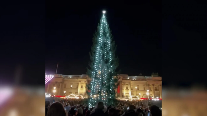 На Трафальгарской площади зажгли праздничные огни на главной ёлке 