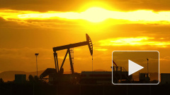 «Роснефть» договорилась о поставках нефти в Белоруссию