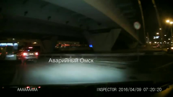 Видео из Омска: Енотовидная собака бодро бегала по городу