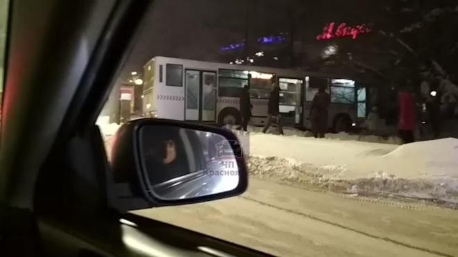 Россияне на ходу выпрыгнули из автобуса из-за потерявшего сознание водителя