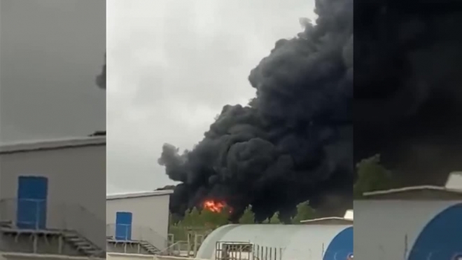 Видео: пожар охватил лакокрасочный завод в Металлострое