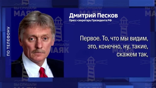 Песков: темпы прироста голосов в пользу Санду вызывают много вопросов