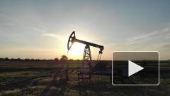 Цена нефти Brent приблизилась к отметке $57 за баррель