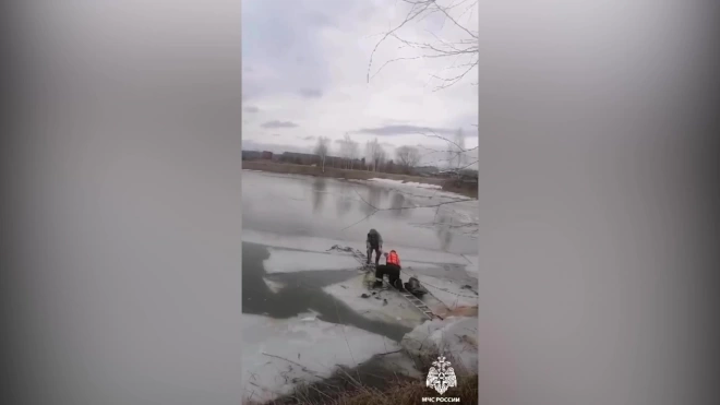 Спасатели сняли с льдины пожилого рыбака под Костромой