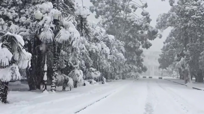 Видео из Абхазии: регион утопает в снегу, движения парализовано, коммунальщики не справляются 