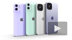 IPhone 12 не получат новый OLED-дисплей